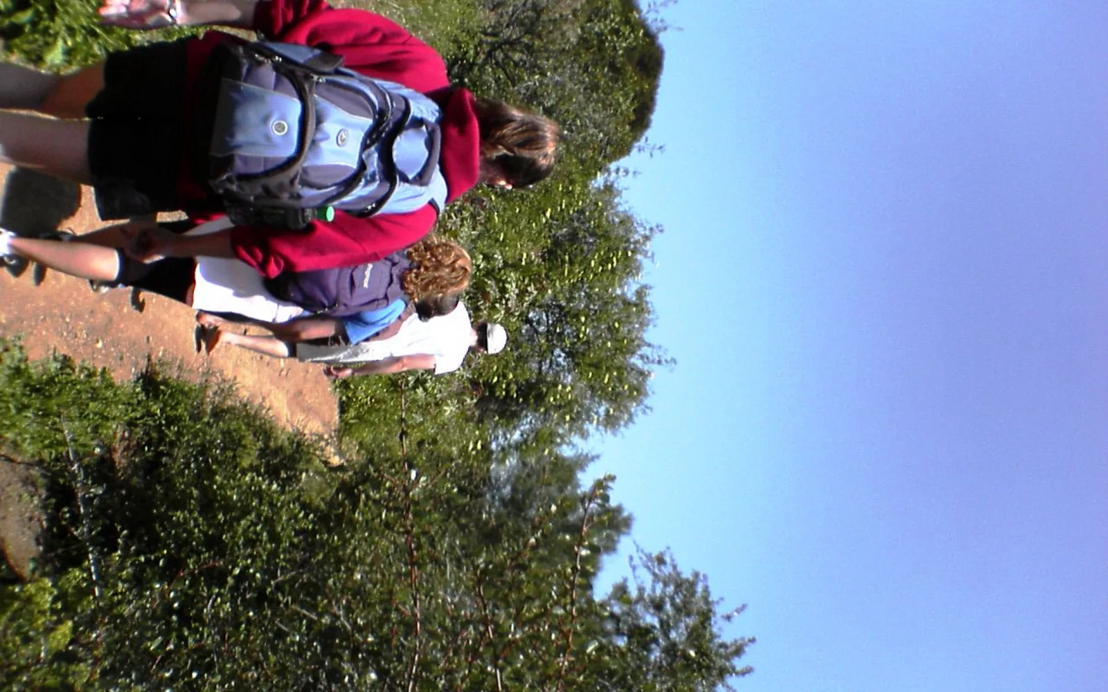 A hiking trail in Topanga State Park in Southern California with vegetation and clear sky